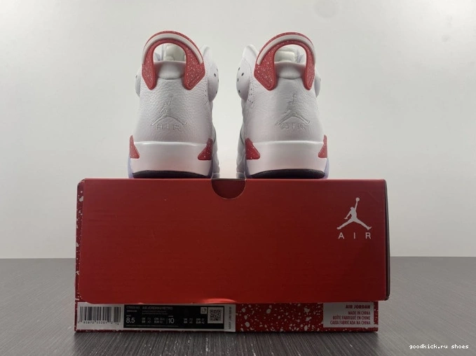 Rep Retro 6 Hare Jordan CT8529-162 0629